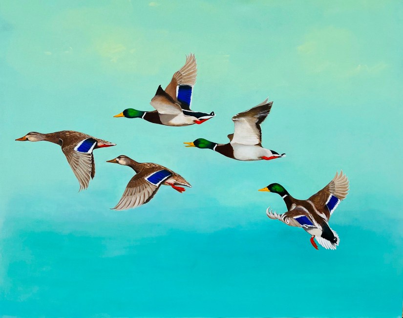 Akryl på lærred 80 x 100, Ænder. Solgt.