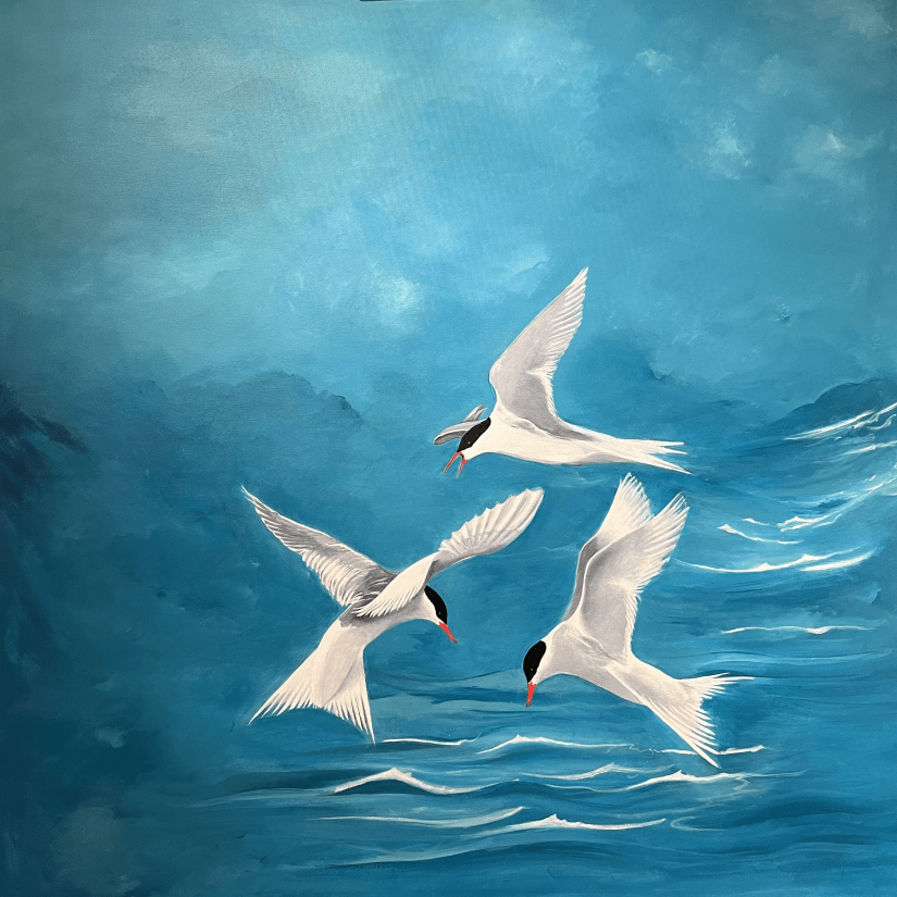 Akryl på lærred 100 x 100, Terner. Bestillingsarbejde.